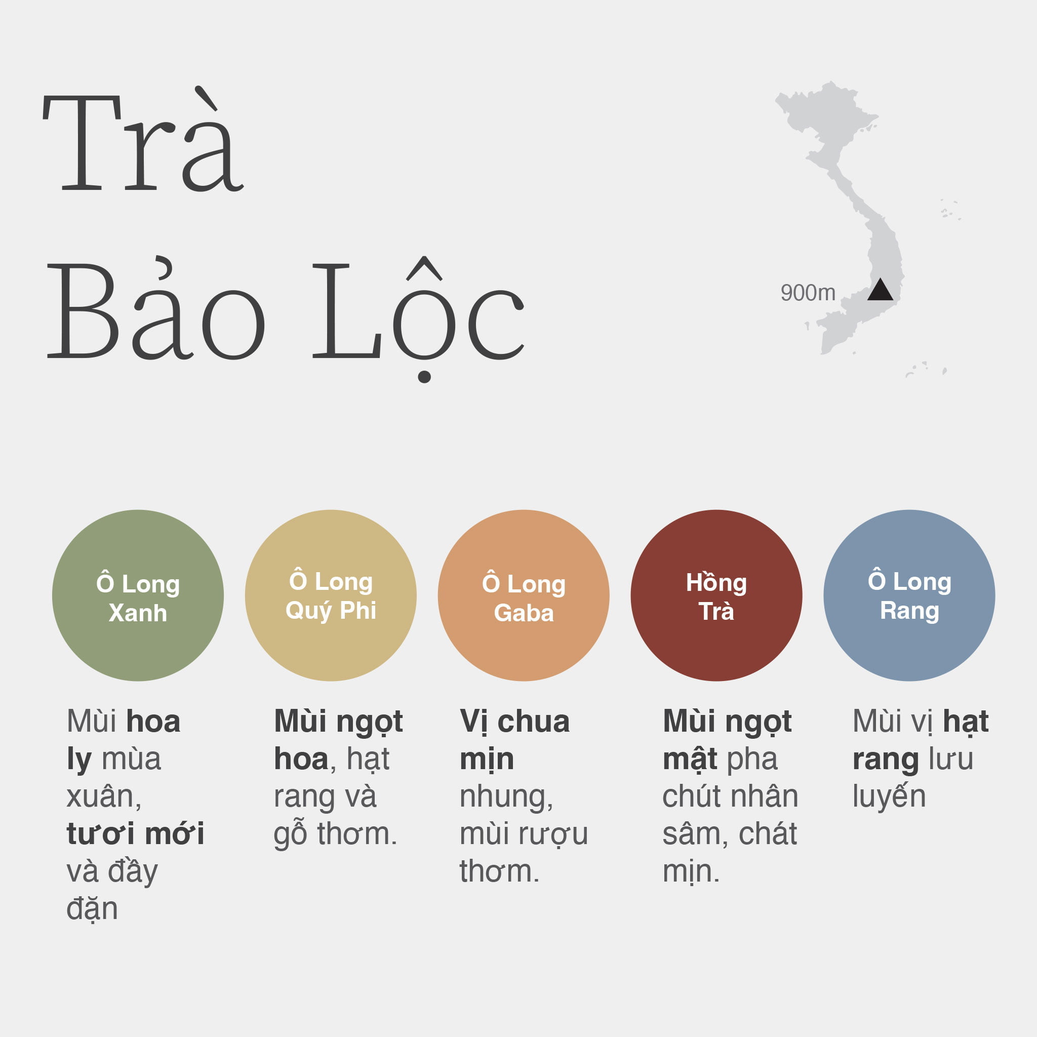 5种 Bao Loc 茶系列